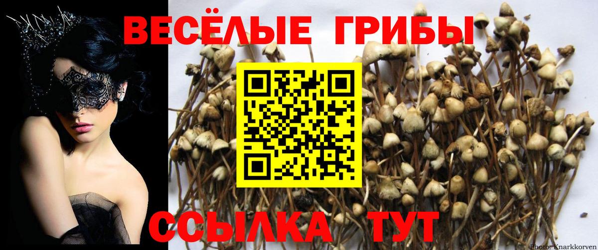 Азнакаево  Галлюциногенные грибы ЛСД  Вход с VPN  Псилоцибиновые грибы Psilocybe 